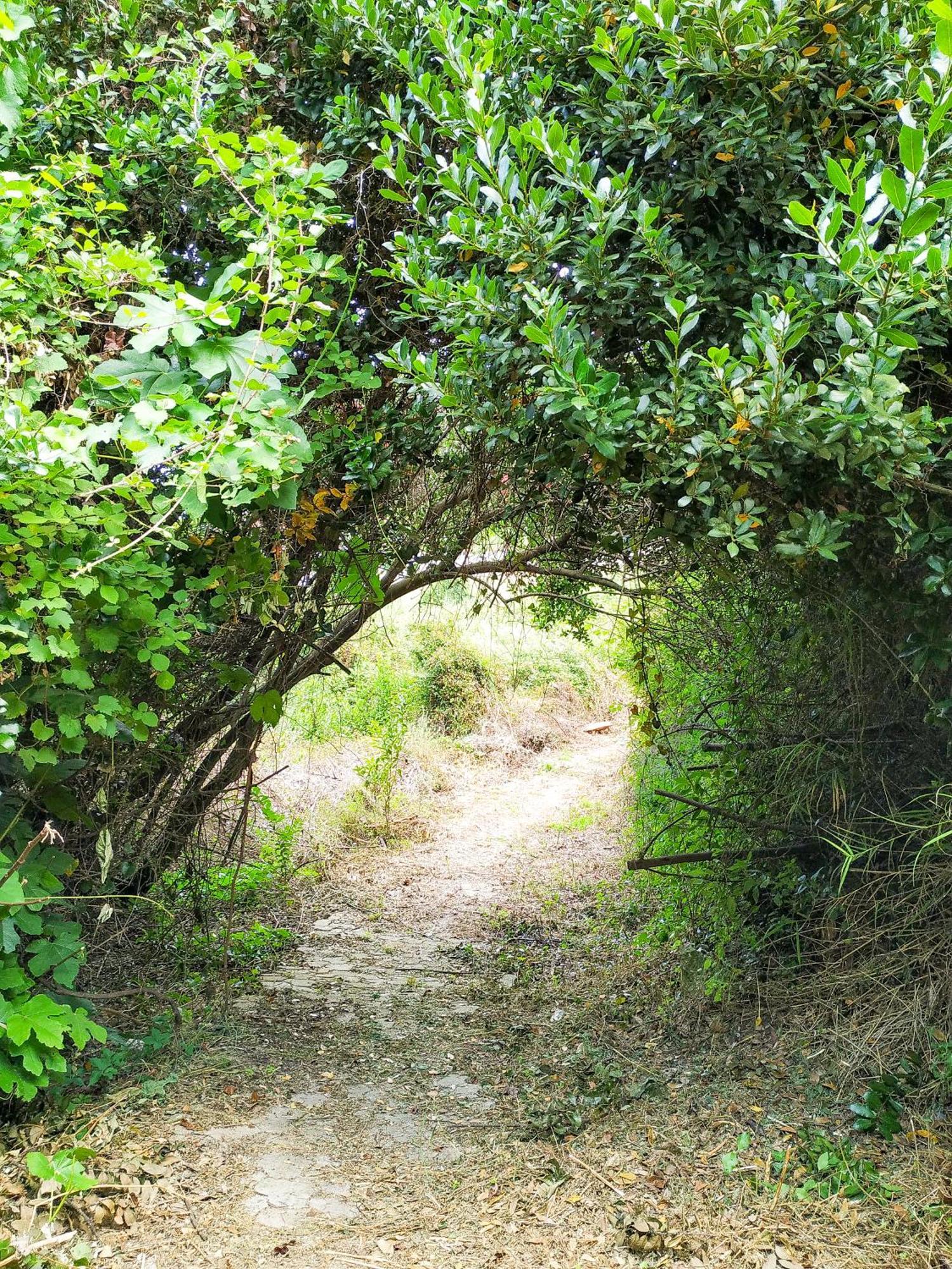 Villa Opali Kassandra Esterno foto