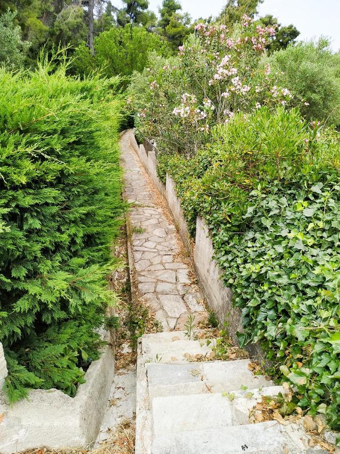 Villa Opali Kassandra Esterno foto